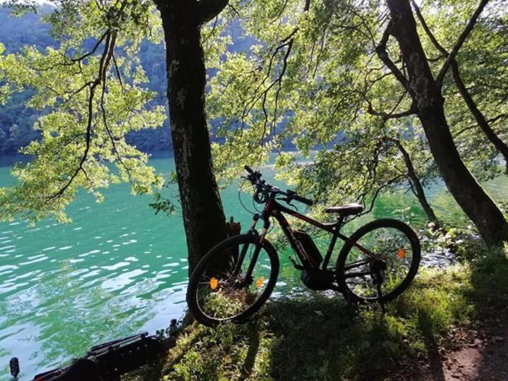 Appartamento Levico Lake Levico Terme Exterior photo